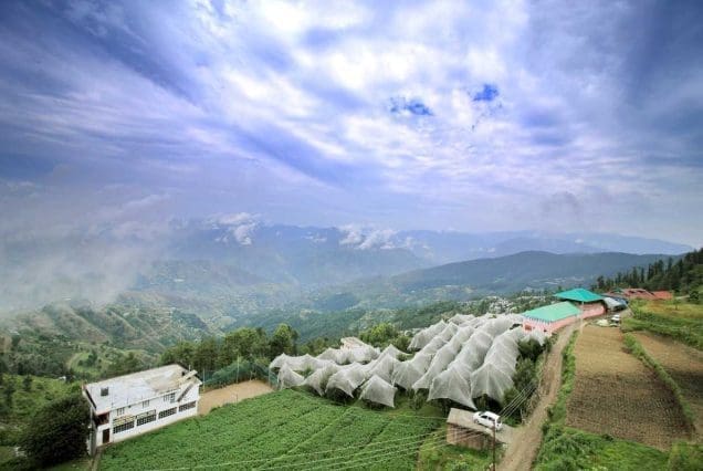 Mountain farms and netted crop fields near Shimla Theog under cloudy skies