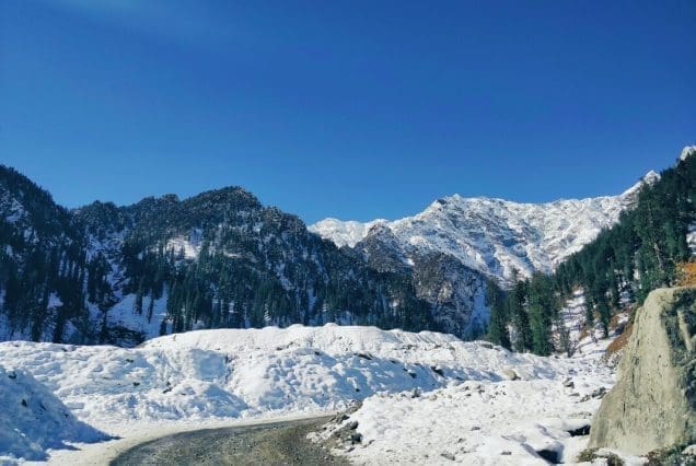 Snow-covered road winding from Sissu to Jispa through forested Himalayan terrain