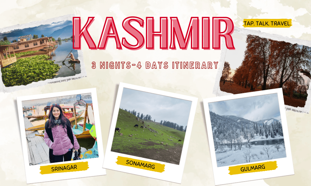 Scenic view captured during gulmarg gondola and Sonamarg trip in Kashmir.