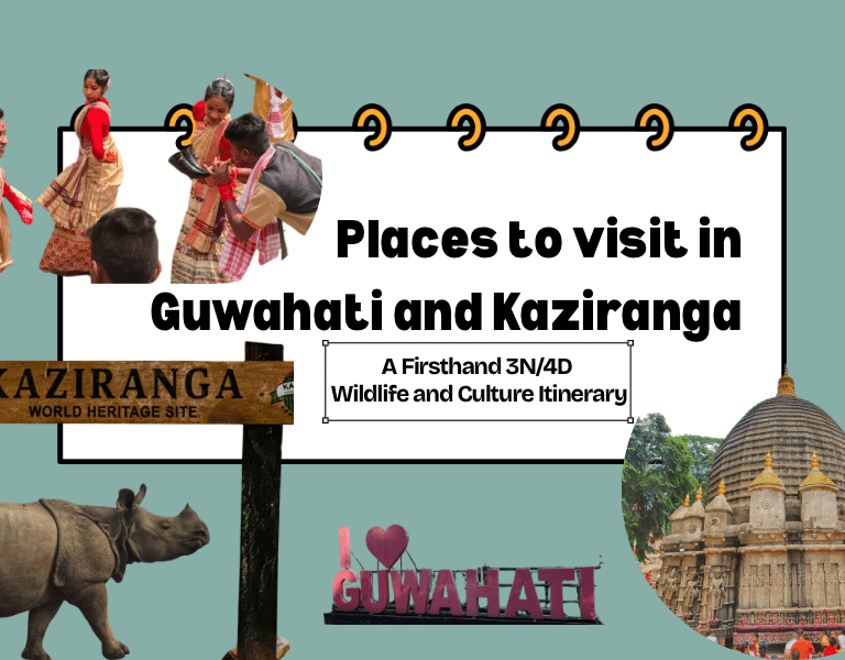Places to visit in Guwahati and Kaziranga including temples, culture, and wildlife safari experiences.