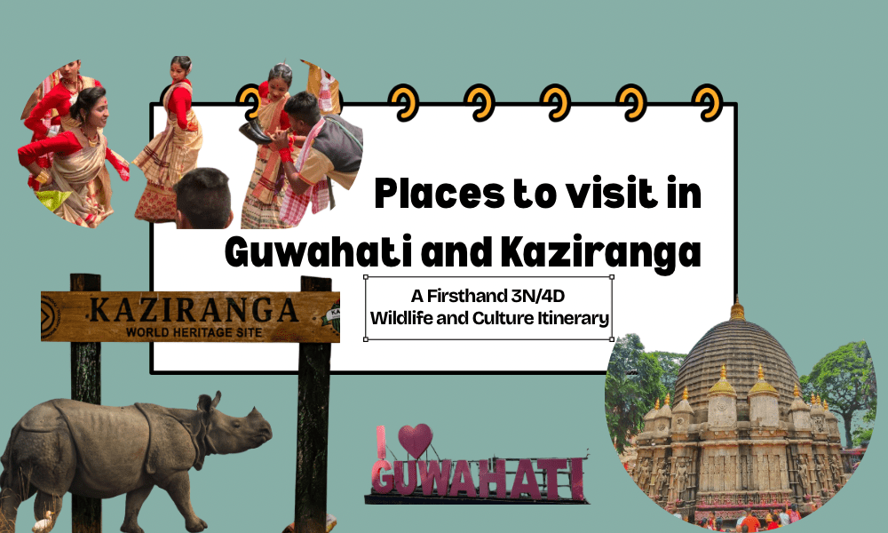 Places to visit in Guwahati and Kaziranga including temples, culture, and wildlife safari experiences.